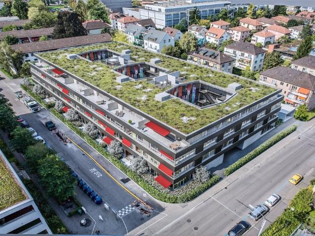 Apartment mieten in Einigen, Zürich