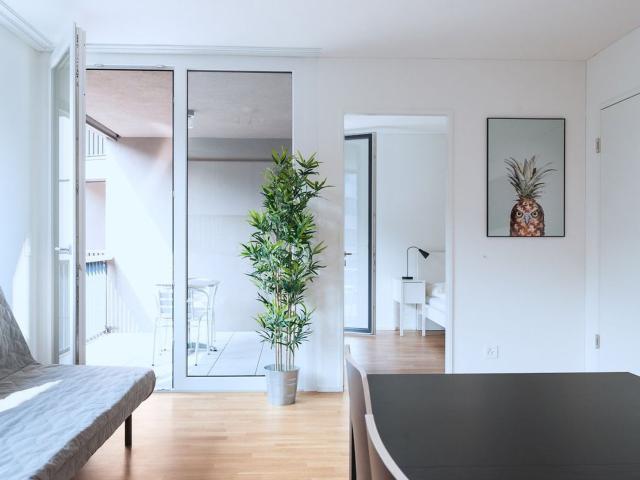 Apartment mieten in Basel, Basel-Stadt