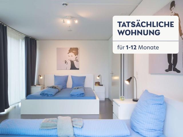 Apartment mieten in Luzern, Lü