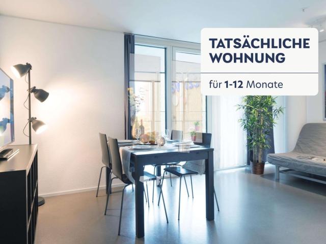 Apartment mieten in Luzern, Lü