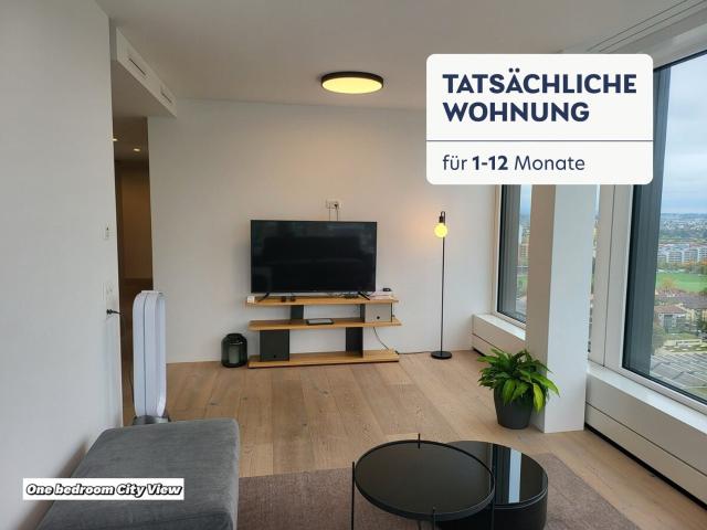 Apartment mieten in Oberwil bei Zug, Zug