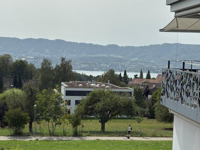 Apartment mieten in Einigen, Zürich