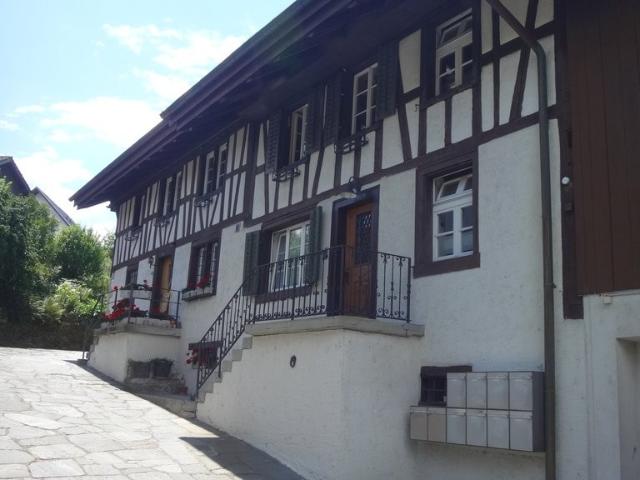 Apartment mieten in Aesch (ZH), Zürich