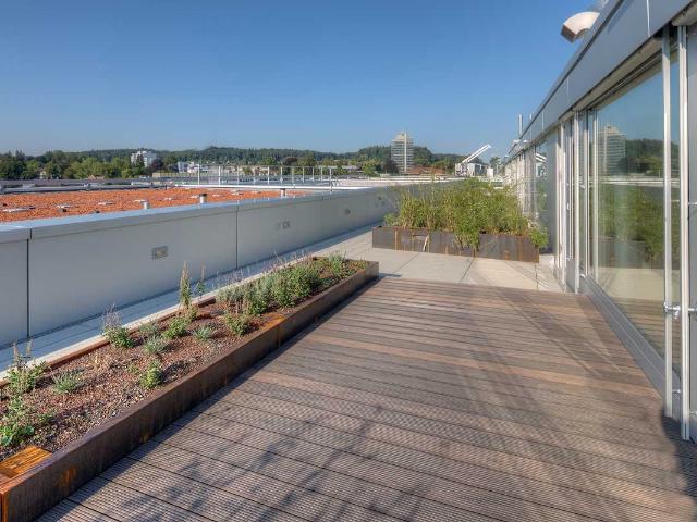 Apartment mieten in Aarau, Aargau