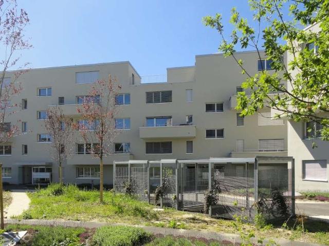 Apartment mieten in Aarburg, Aargau