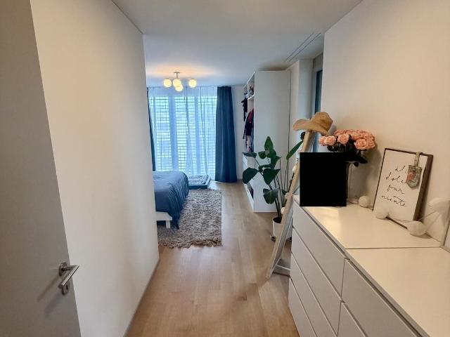 Apartment mieten in Adliswil, Zürich