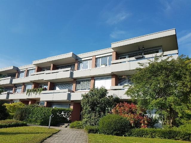 Apartment mieten in Adliswil, Zürich