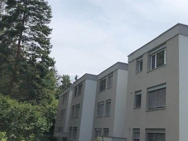 Apartment mieten in Adliswil, Zürich