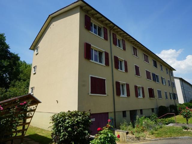 Apartment mieten in Allschwil, Basel-Landschaft