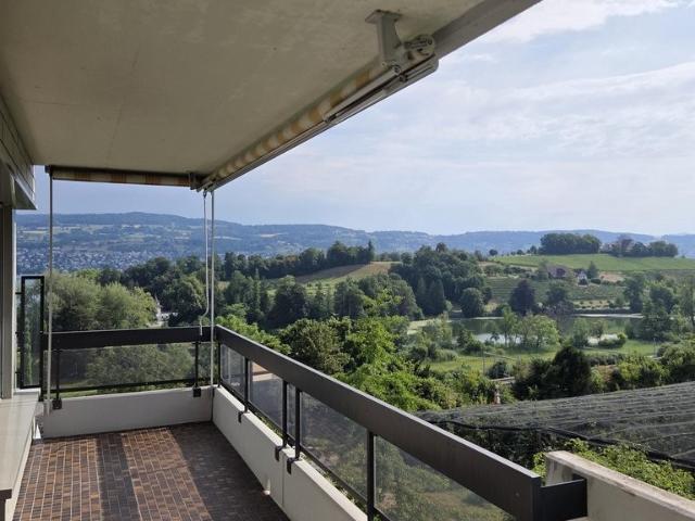 Apartment mieten in Wädenswil, Zürich