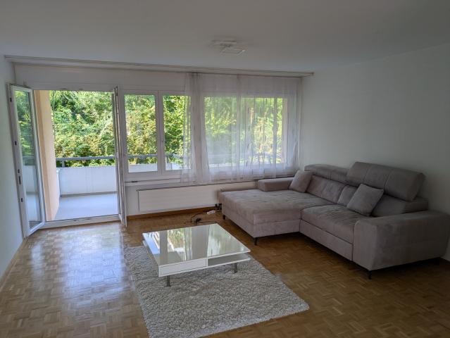 Apartment mieten in Wädenswil, Zürich