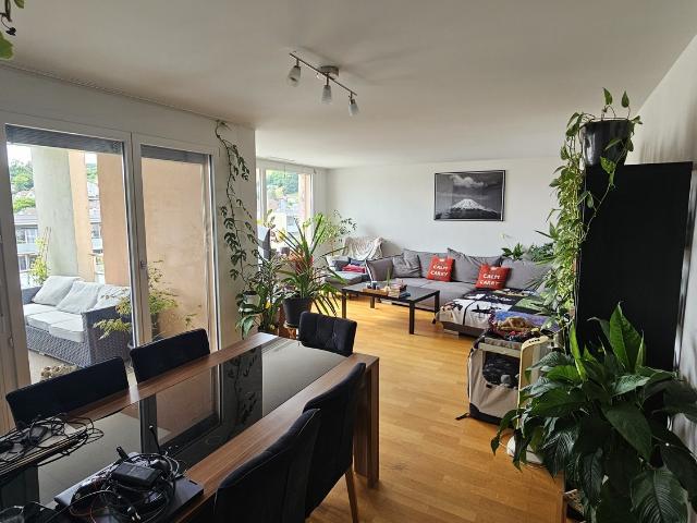 Apartment mieten in Baden, Aargau