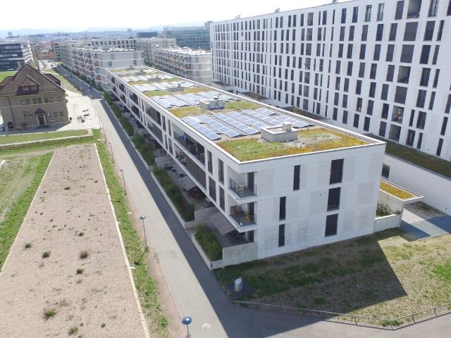 Apartment mieten in Basel, Basel-Stadt