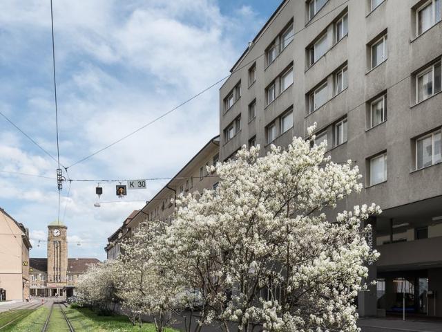 Apartment mieten in Basel, Basel-Stadt