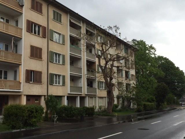 Apartment mieten in Basel, Basel-Stadt