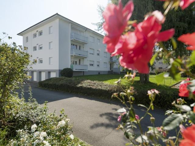 Apartment mieten in Belp, Bern