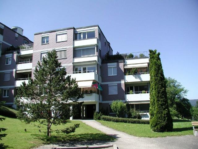 Apartment mieten in Bergdietikon, Aargau