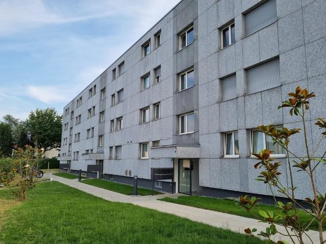 Apartment mieten in Berikon, Aargau