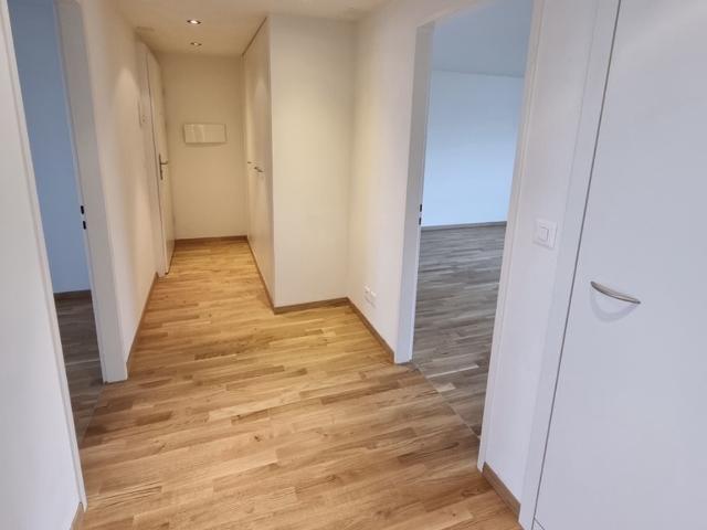 Apartment mieten in Berikon, Aargau