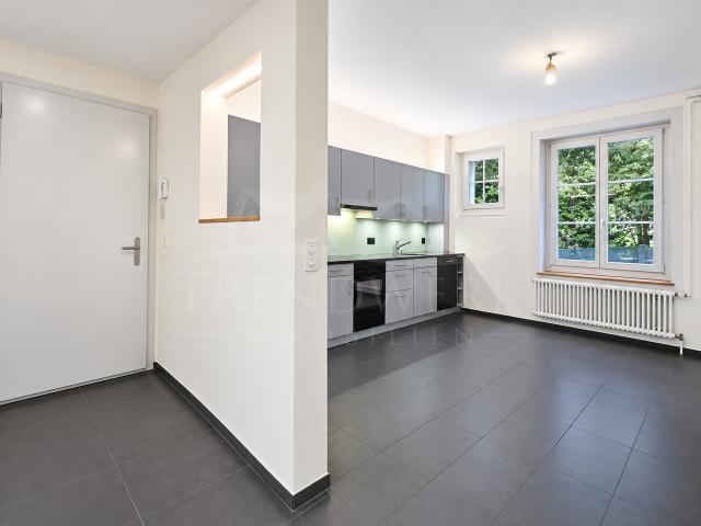 Apartment mieten in Bern
