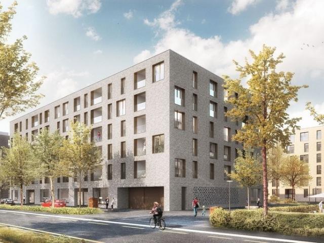 Apartment mieten in Bern