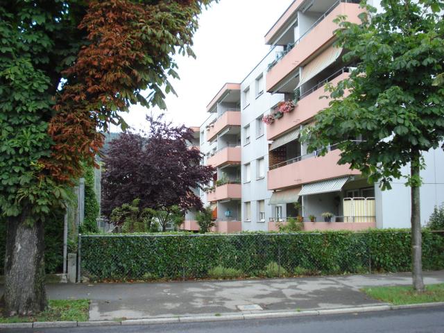 Apartment mieten in Biel, Bern