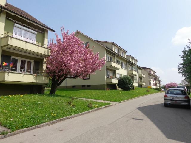 Apartment mieten in Biel, Bern