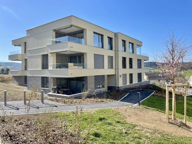 Apartment mieten in Birmensdorf (ZH), Zürich