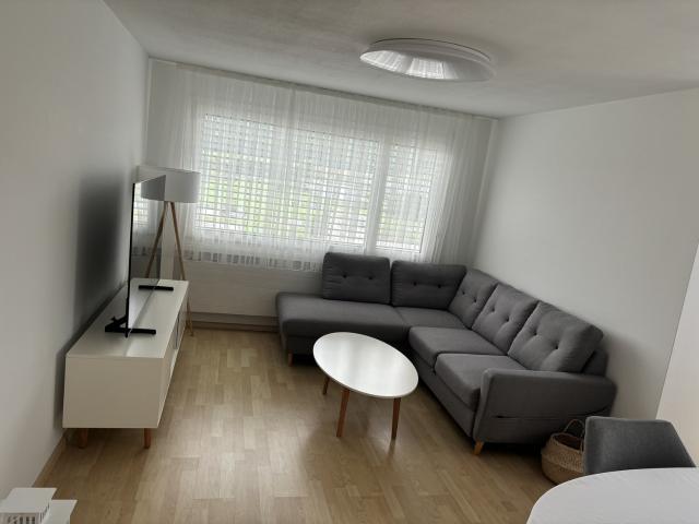 Apartment mieten in Birr, Aargau