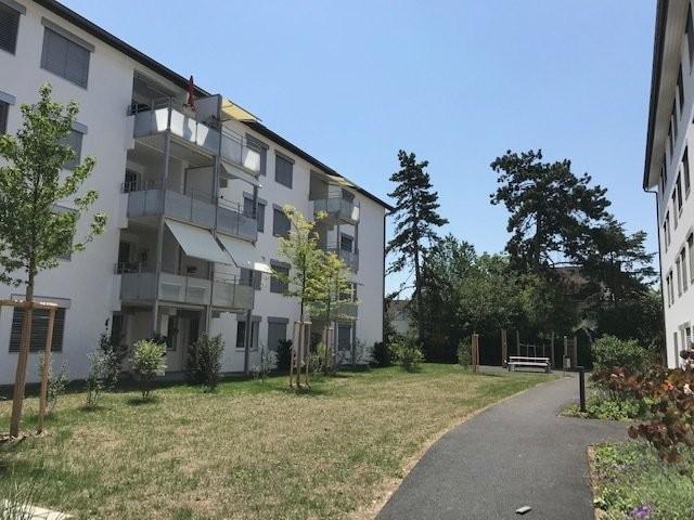 Apartment mieten in Birsfelden, Basel-Landschaft