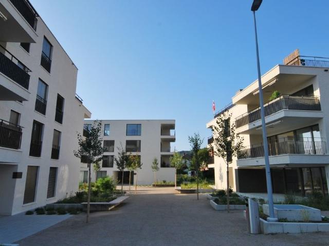 Apartment mieten in Boniswil, Aargau