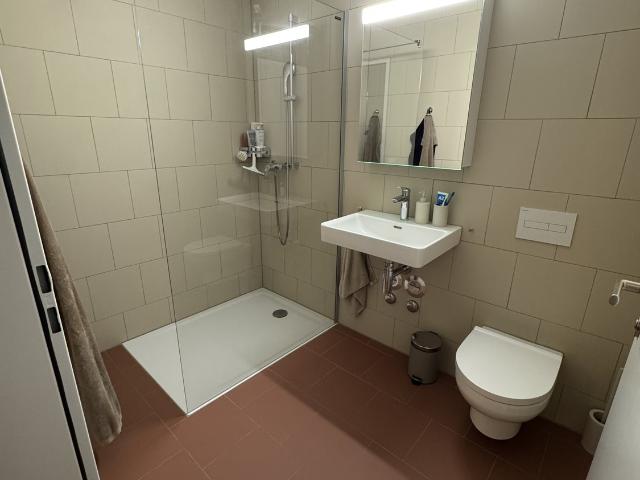 Apartment mieten in Les Mayens-de-Sion, Wallis