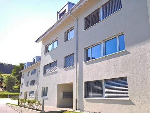 Apartment mieten in Breitenbach, Solothurn