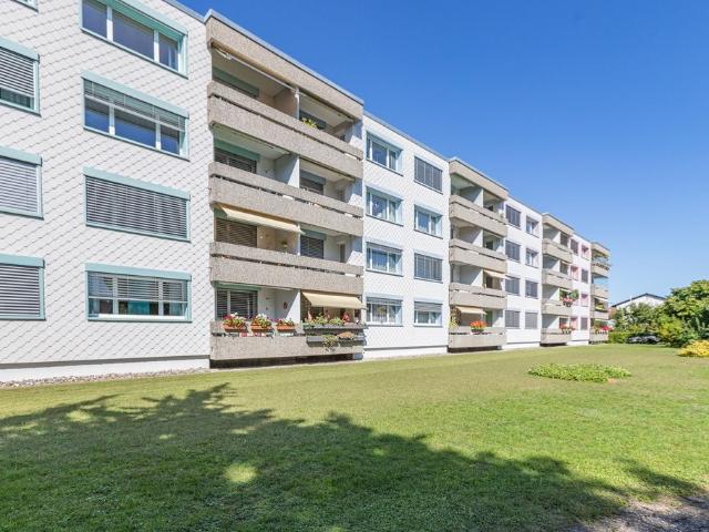 Apartment mieten in Buchs (AG), Aargau