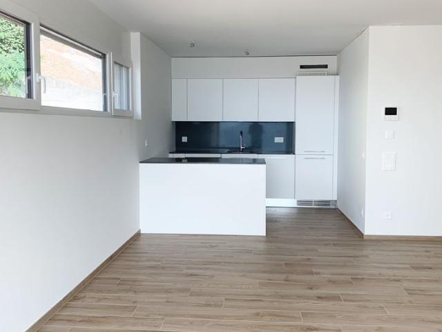 Apartment mieten in Comano, Distretto di Lugano