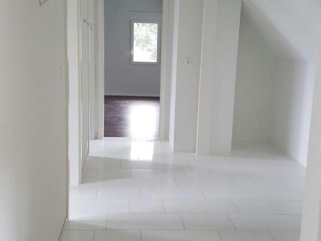 Apartment mieten in Dänikon, Zürich