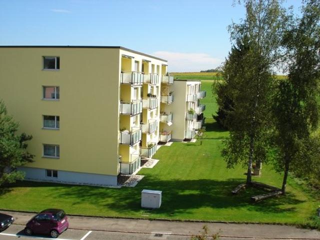 Apartment mieten in Dielsdorf, Zürich