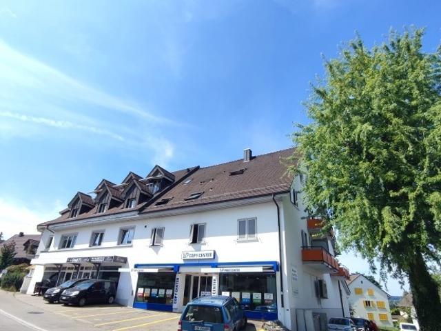 Apartment mieten in Dielsdorf, Zürich