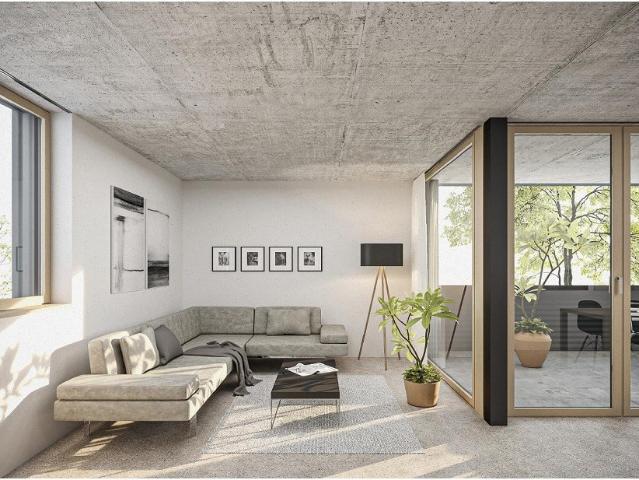 Apartment mieten in Diepoldsau, St. Gallen