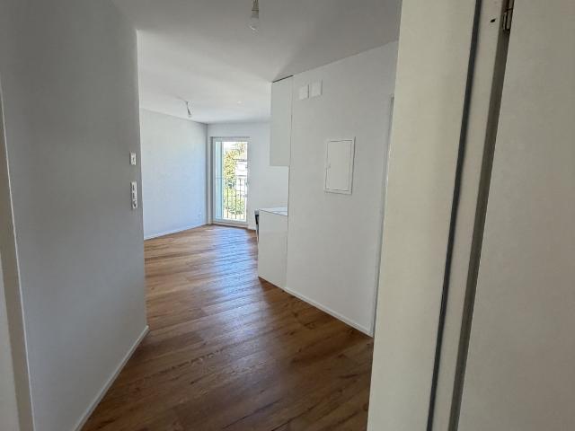 Apartment mieten in Stelzenacker, Dietikon