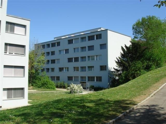 Apartment mieten in Dietikon, Zürich