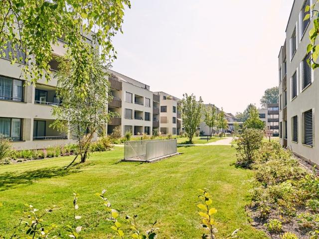 Apartment mieten in Hätschen, Dietikon