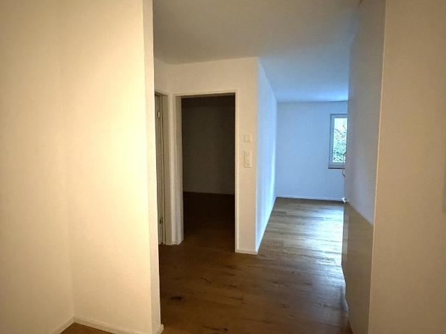 Apartment mieten in Stelzenacker, Dietikon