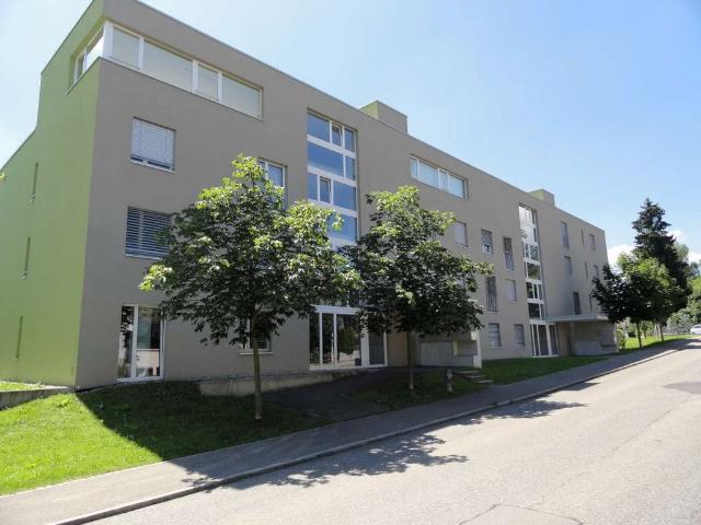 Apartment mieten in Dottikon, Aargau