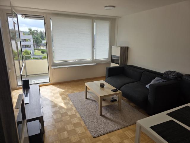 Apartment mieten in Döttingen, Aargau