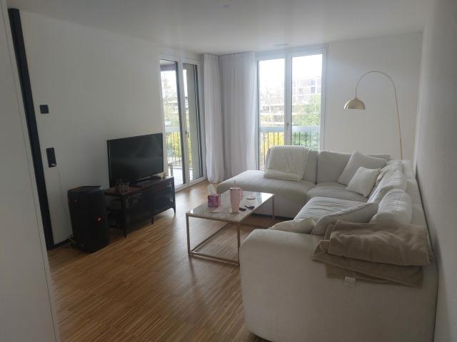 Apartment mieten in Birchlen, Dübendorf