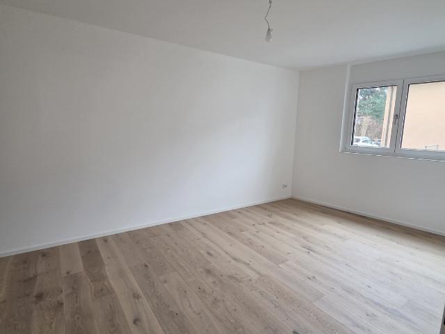Apartment mieten in Dürnten, Zürich