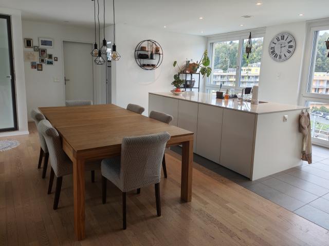 Apartment mieten in Ebikon, Lü