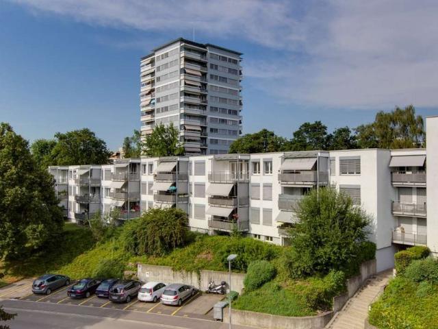 Apartment mieten in Illnau-Effretikon, Zürich