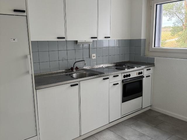 Apartment mieten in Illnau-Effretikon, Zürich